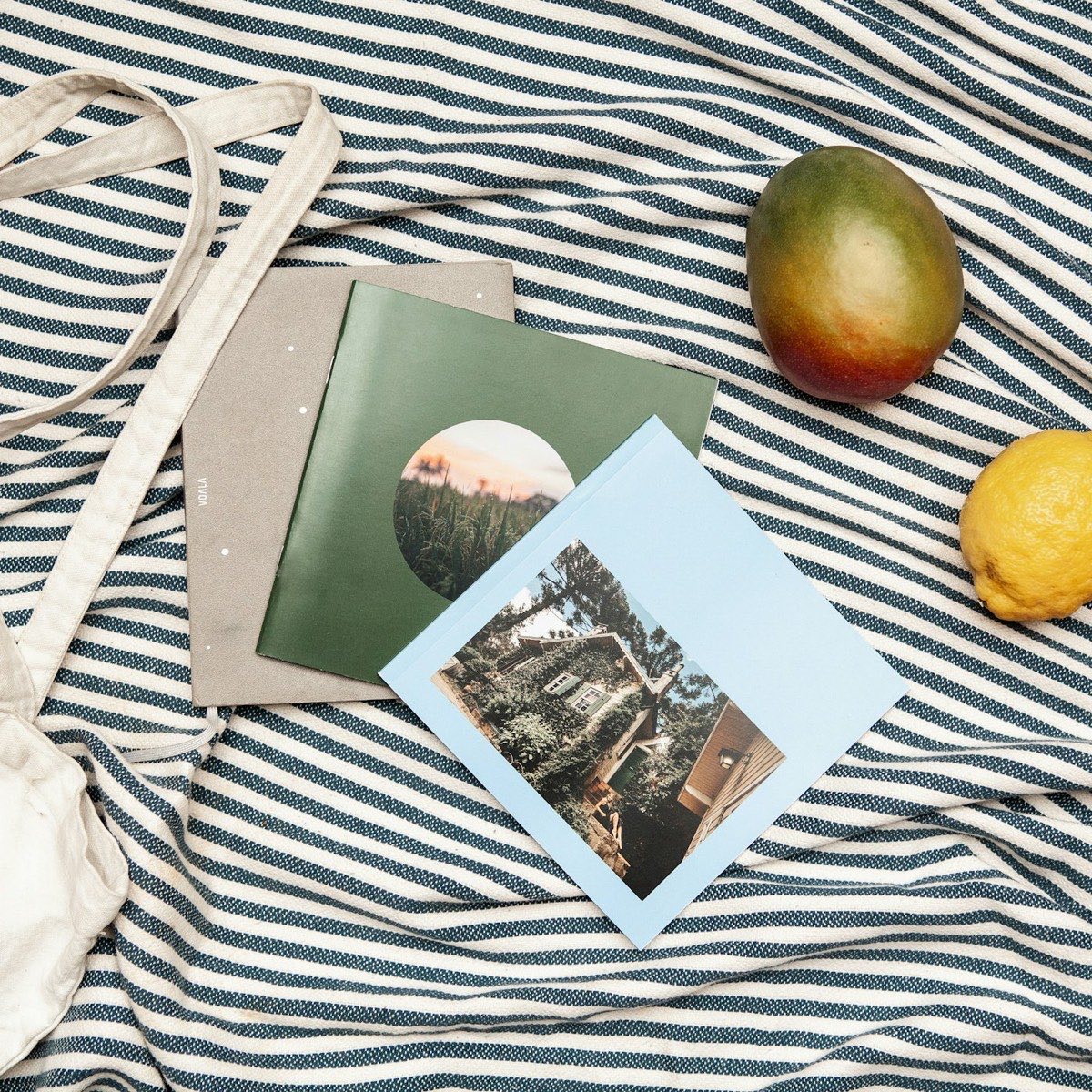 Coastal Striped Throw
