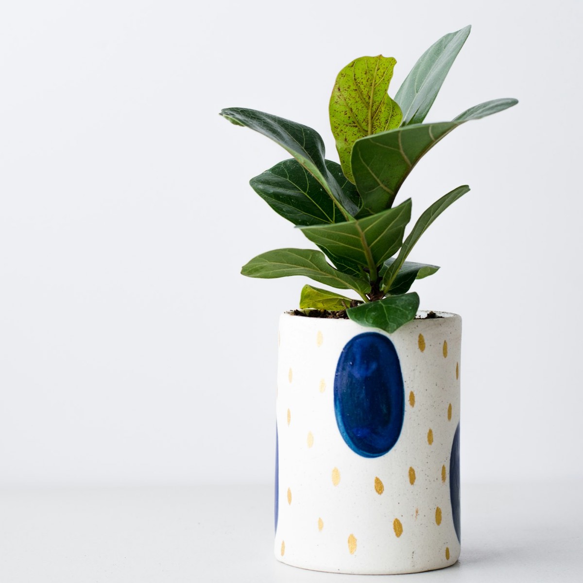 Low Textured Planter