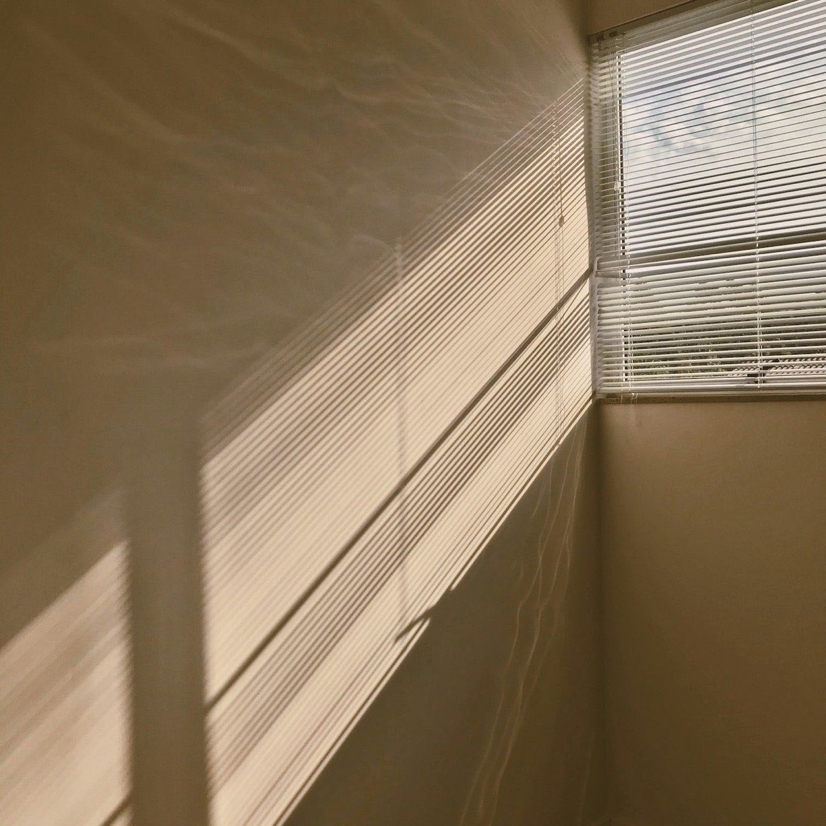 Oatmeal Pleated Shade, 36 Wide