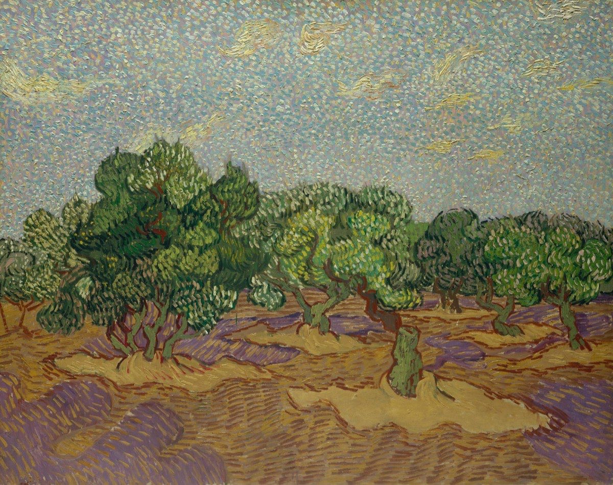 Olive Grove, 24 by 30