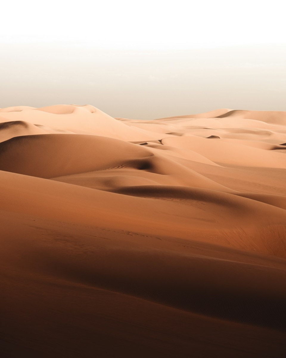 Quiet Dune, Canvas, 30 by 40
